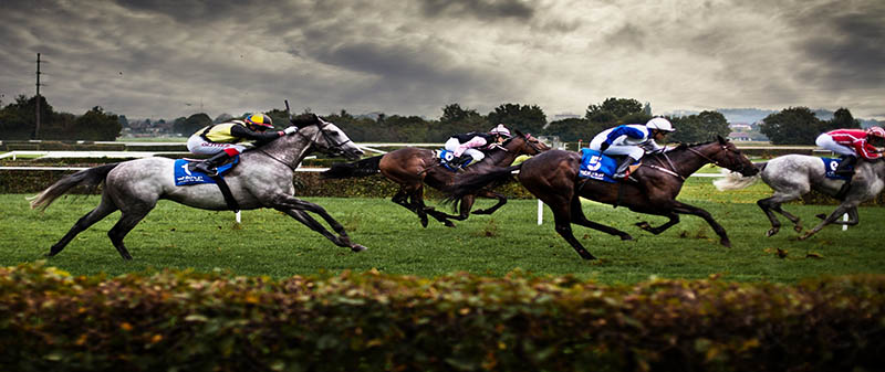 Horse Racing - Top 5 jockeys